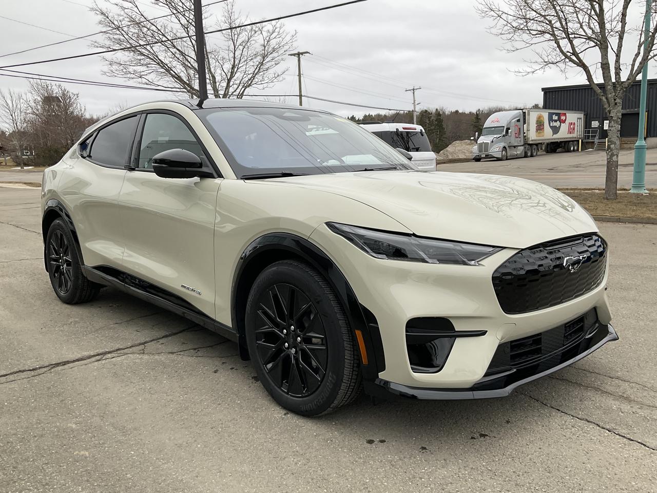 2026 Ford Mustang Mach-E Premium Photo2
