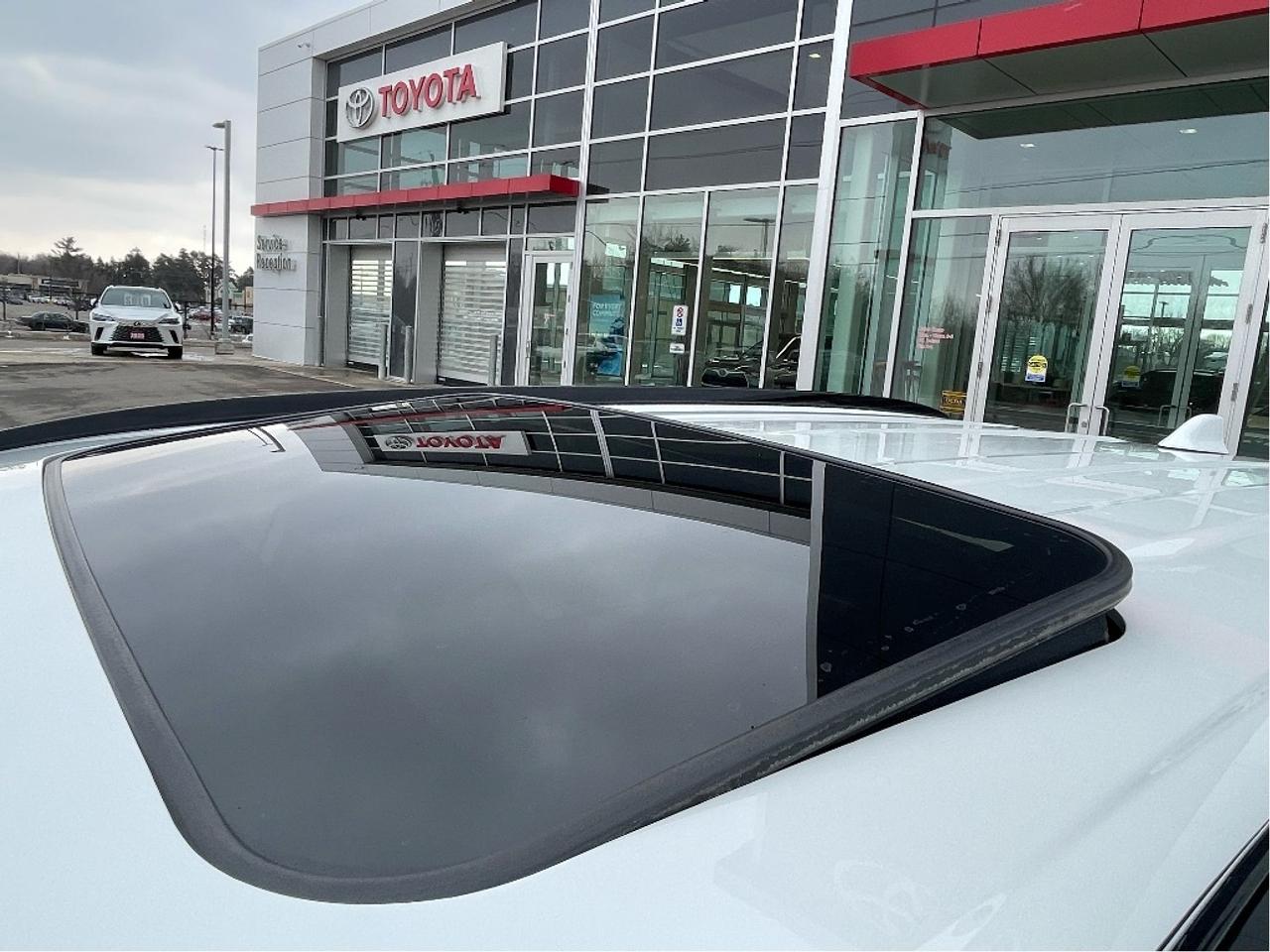 2023 Toyota RAV4 Hybrid Limited Photo