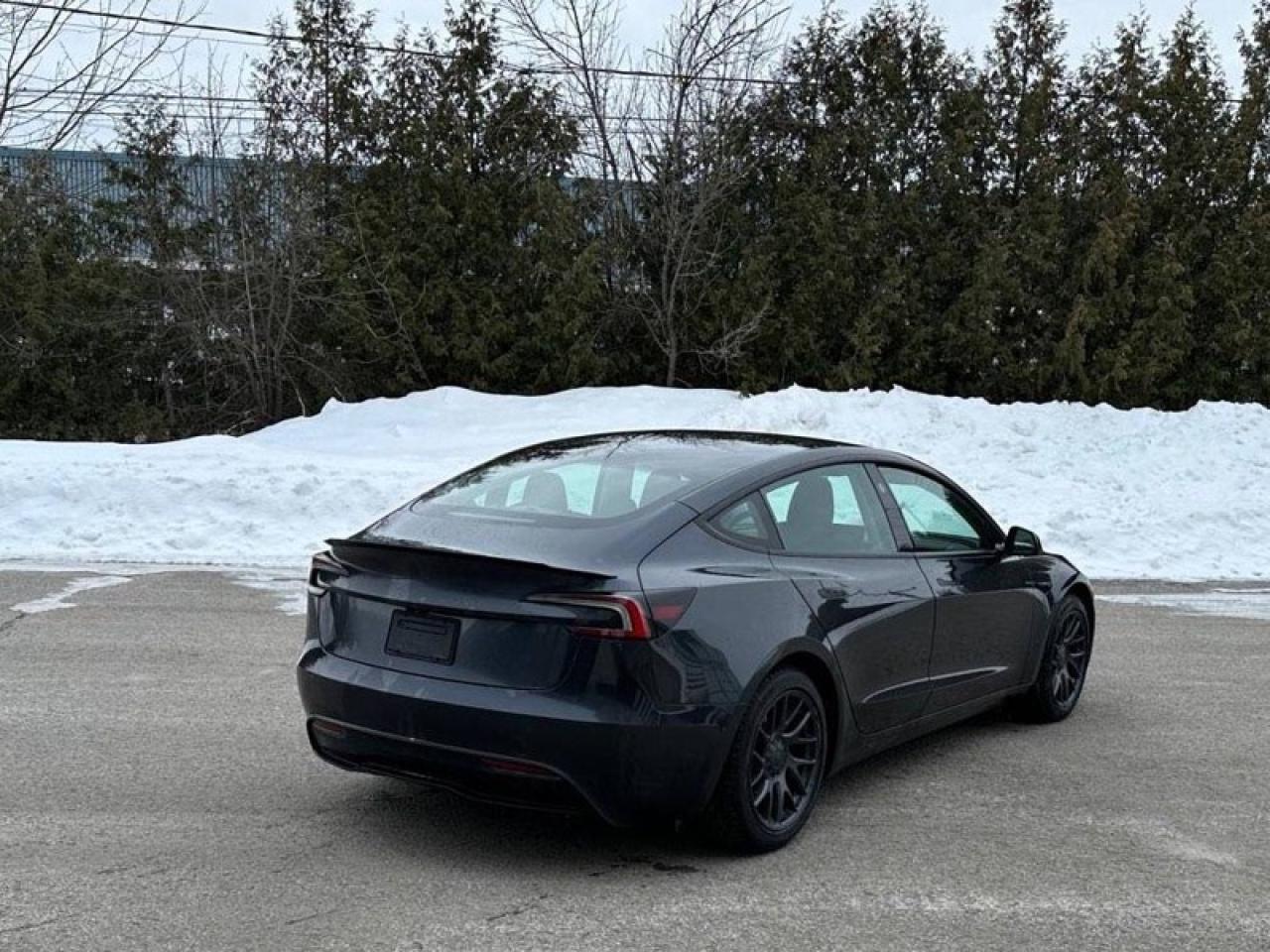 2025 Tesla Model 3 LONG RANGE   LONG RANGE AWD, STEALTH GREY Photo