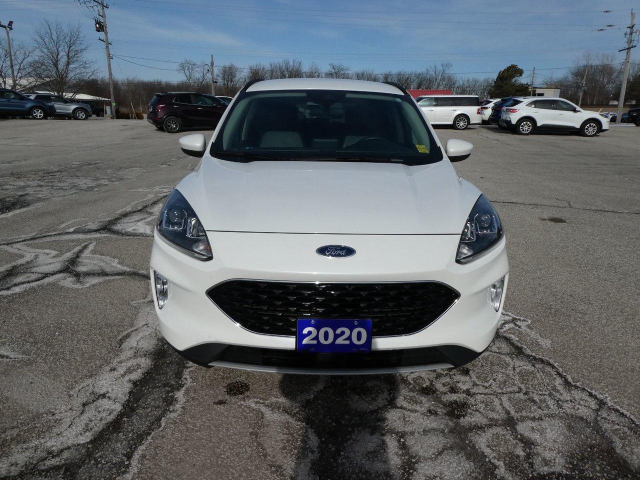 2020 Ford Escape SEL SEL Photo