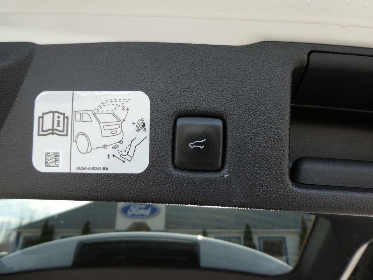 2020 Ford Escape SEL SEL Photo