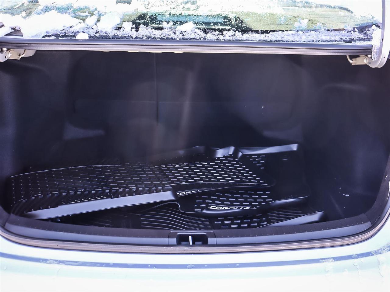 2020 Toyota Corolla  Photo