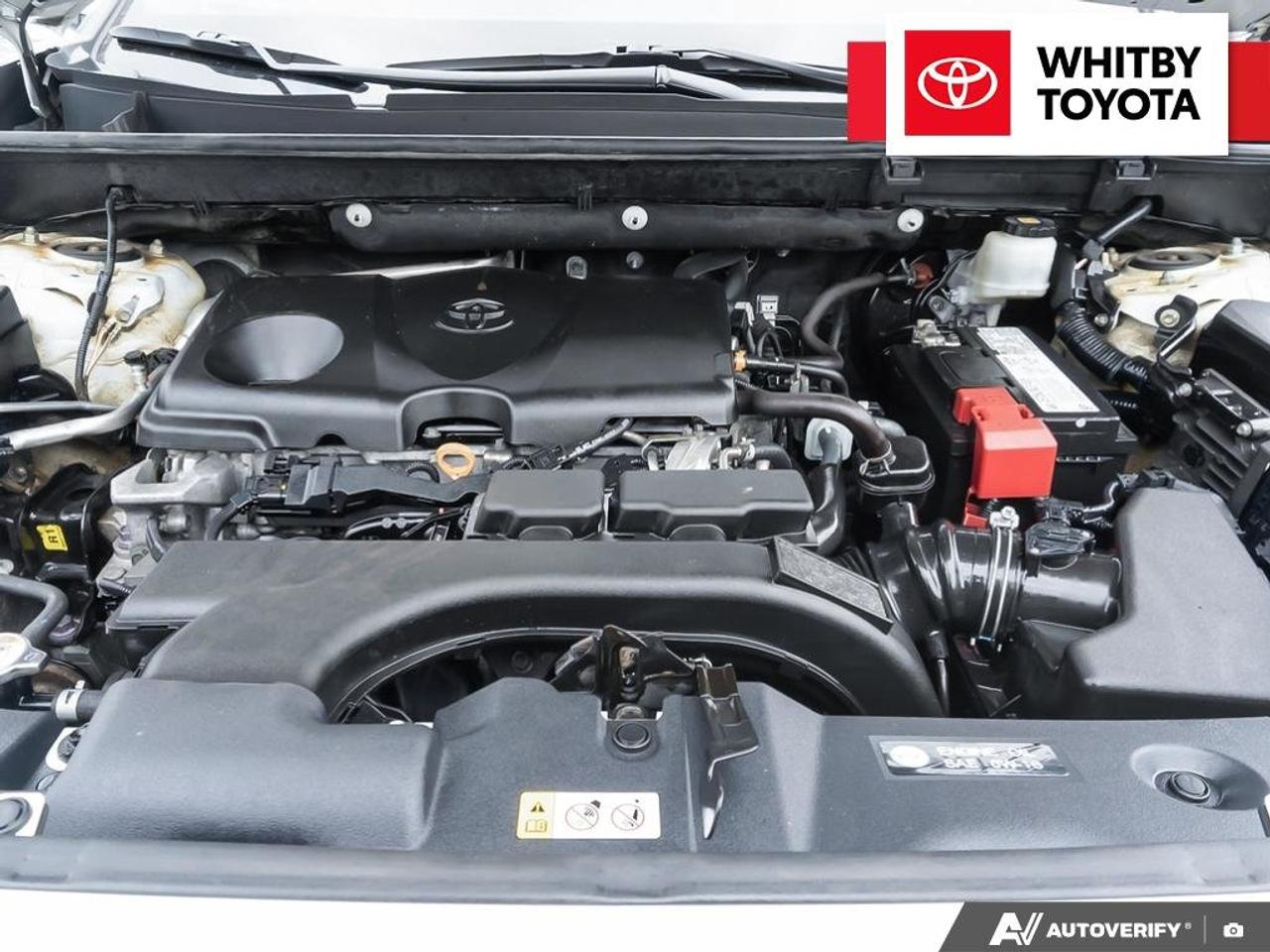 2020 Toyota RAV4 XLE 2.5L Photo