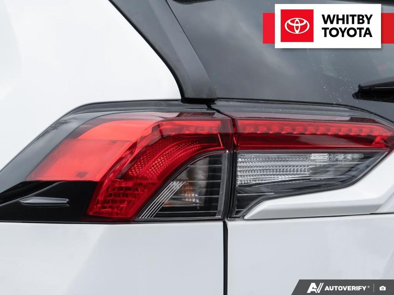 2020 Toyota RAV4 XLE 2.5L Photo