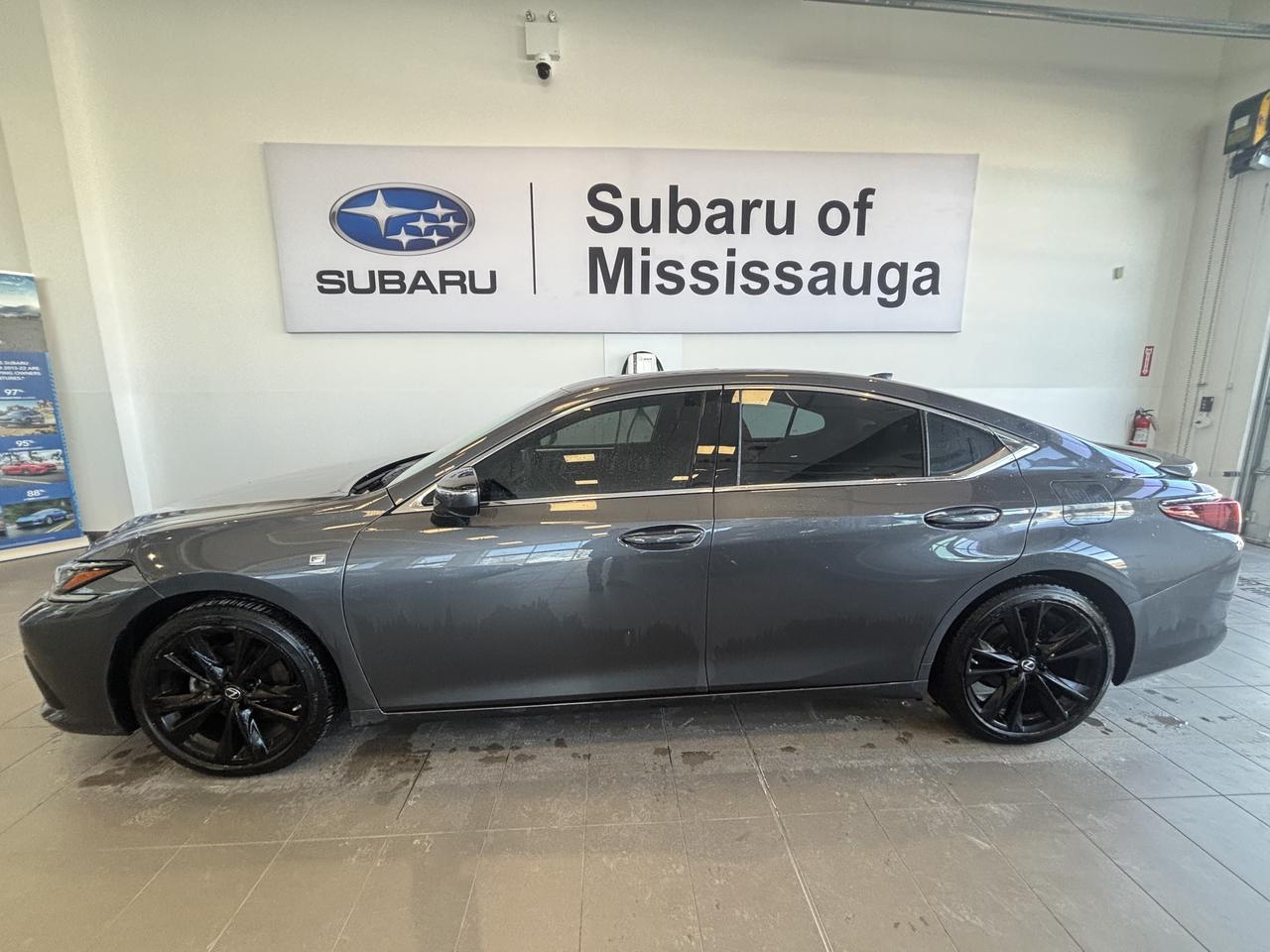 2024 Lexus ES 300h ES300h F SPORT   CLEAN CARFAX   ONE OWNER   HYBRID Photo