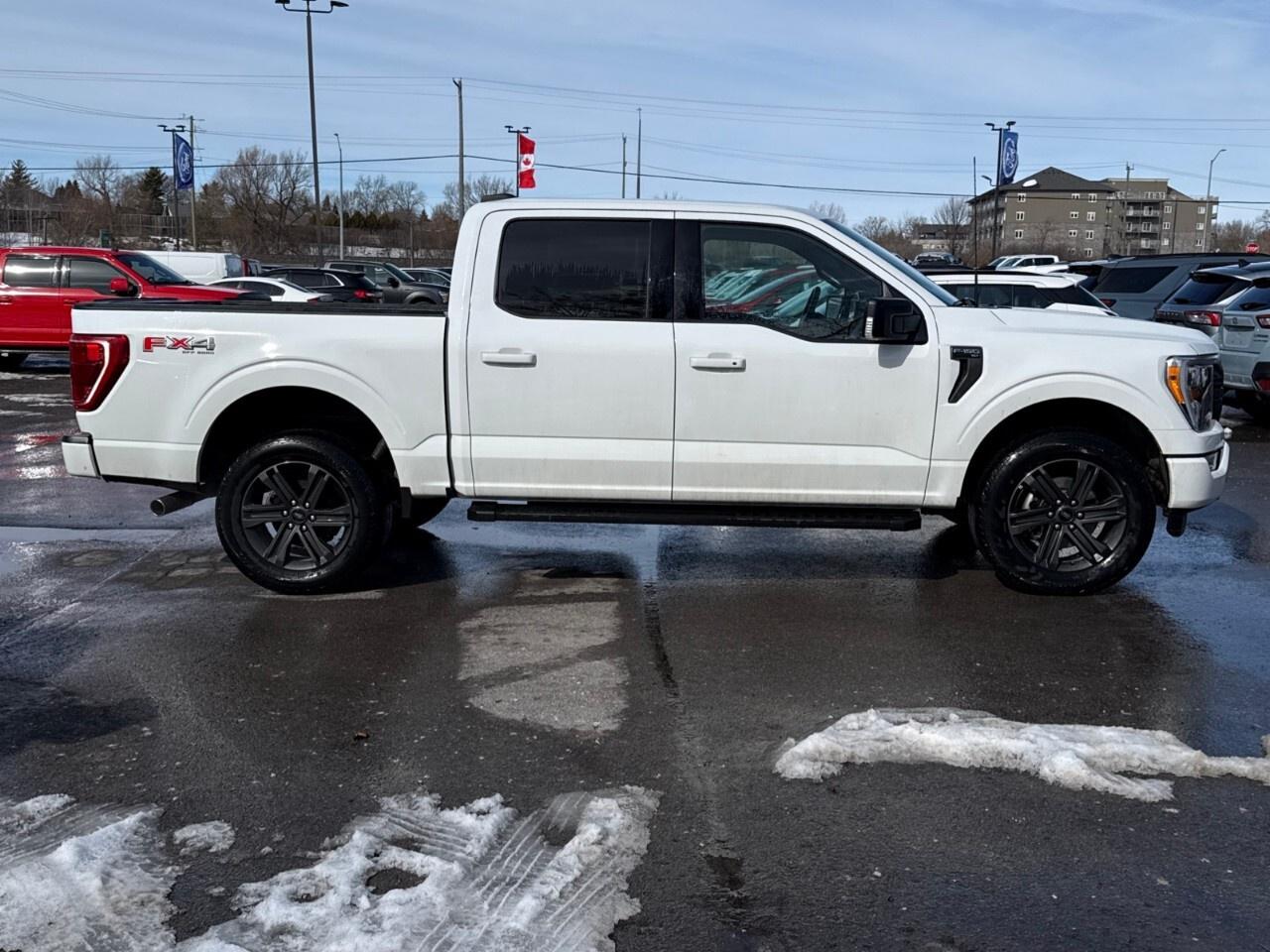 2023 Ford F-150 XLT 4WD SuperCrew 5.5' Box Photo