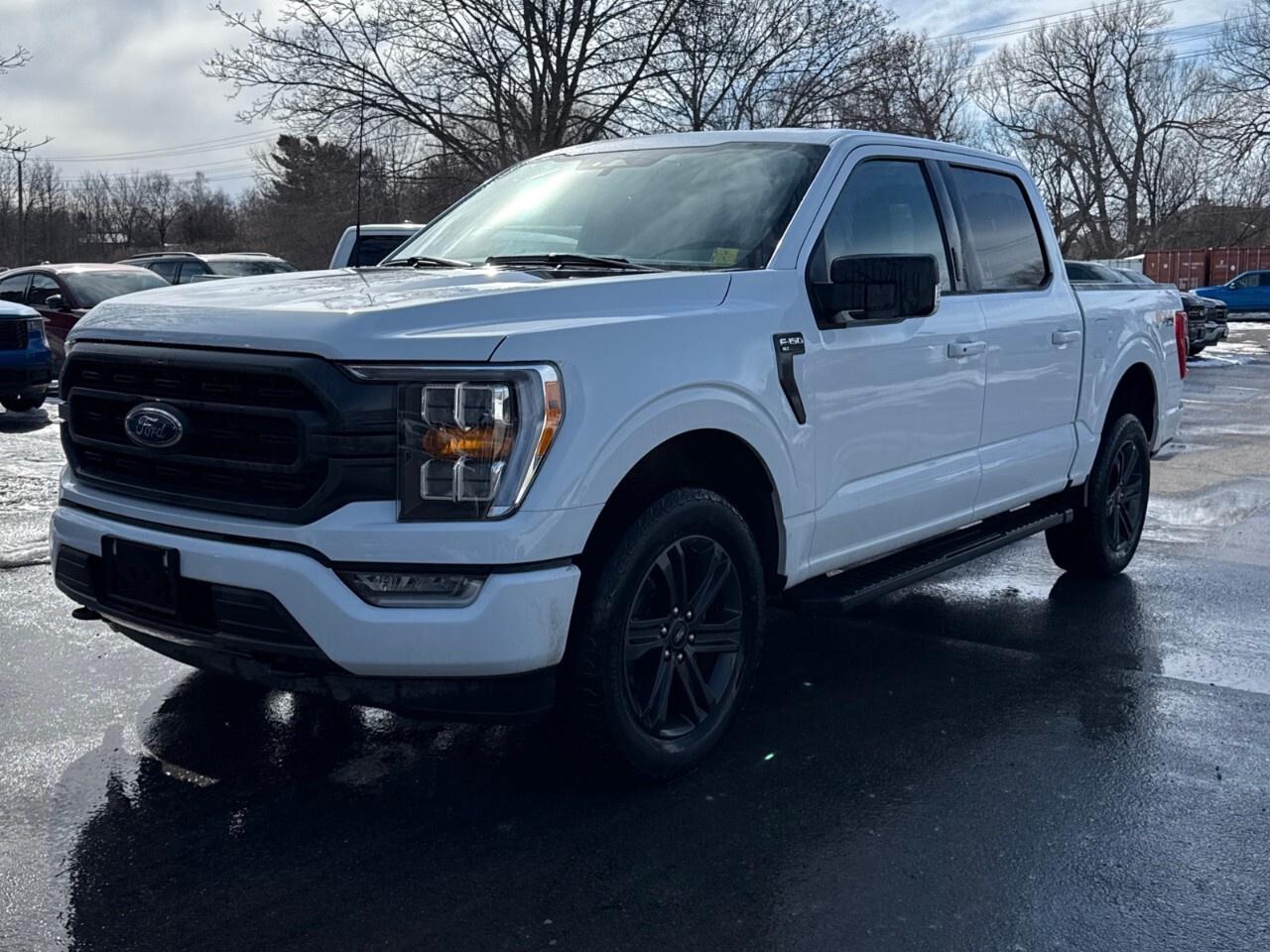 2023 Ford F-150 XLT 4WD SuperCrew 5.5' Box Photo