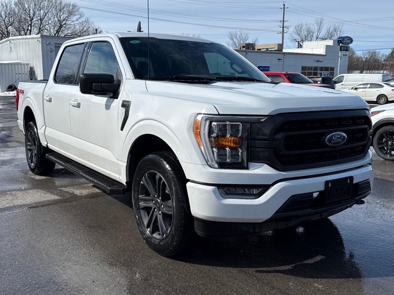 2023 Ford F-150 XLT 4WD SuperCrew 5.5' Box Photo