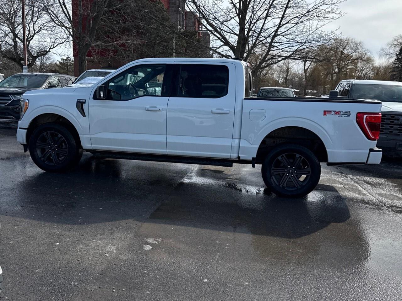 2023 Ford F-150 XLT 4WD SuperCrew 5.5' Box Photo