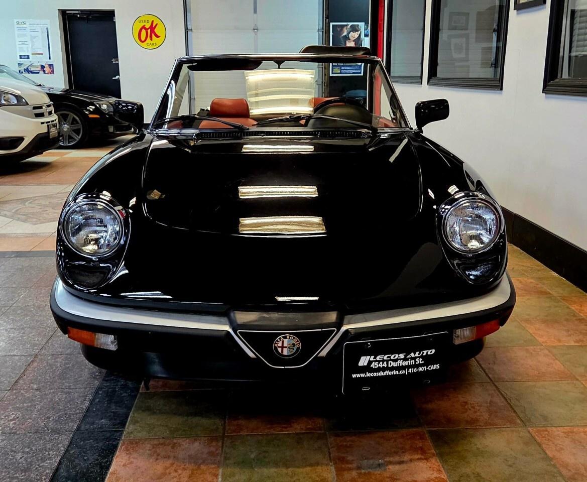1987 Alfa Romeo Spider Graduate Manual Transmission/Very Low KMs/Converti Photo