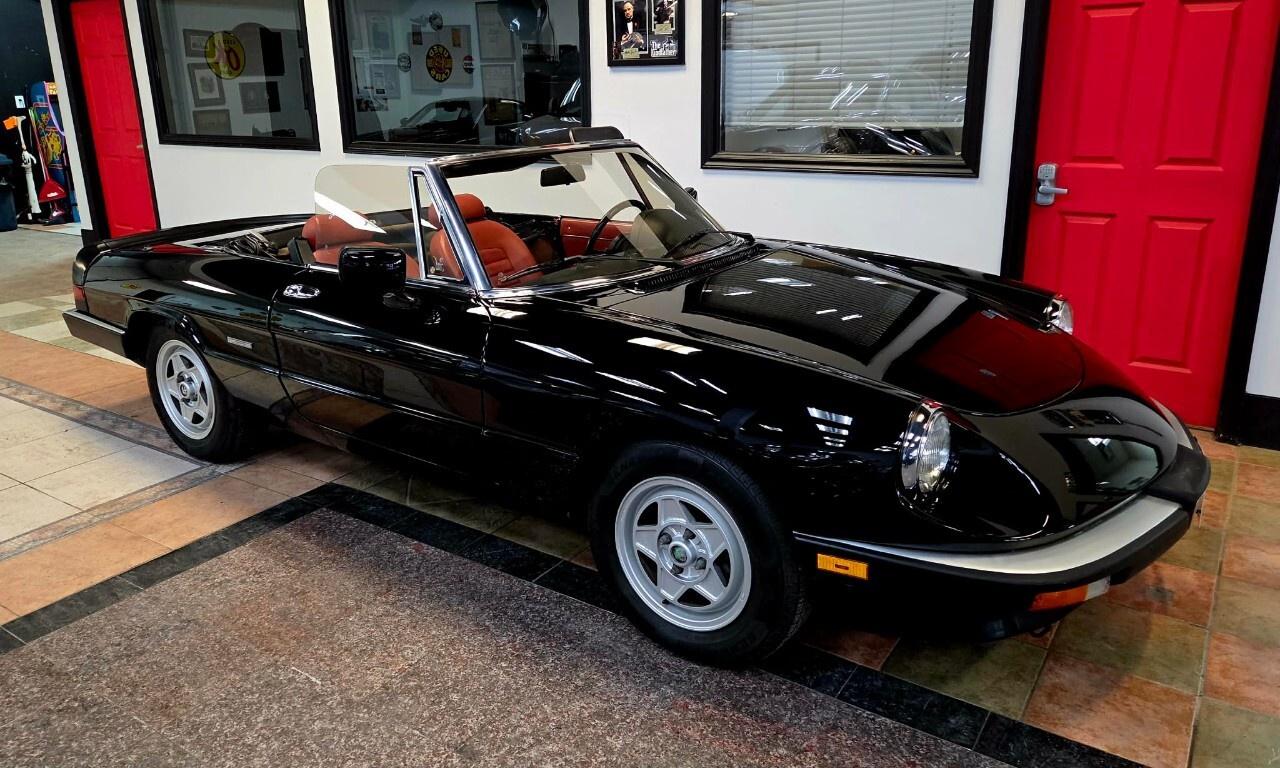 1987 Alfa Romeo Spider Graduate Manual Transmission/Very Low KMs/Converti Photo4
