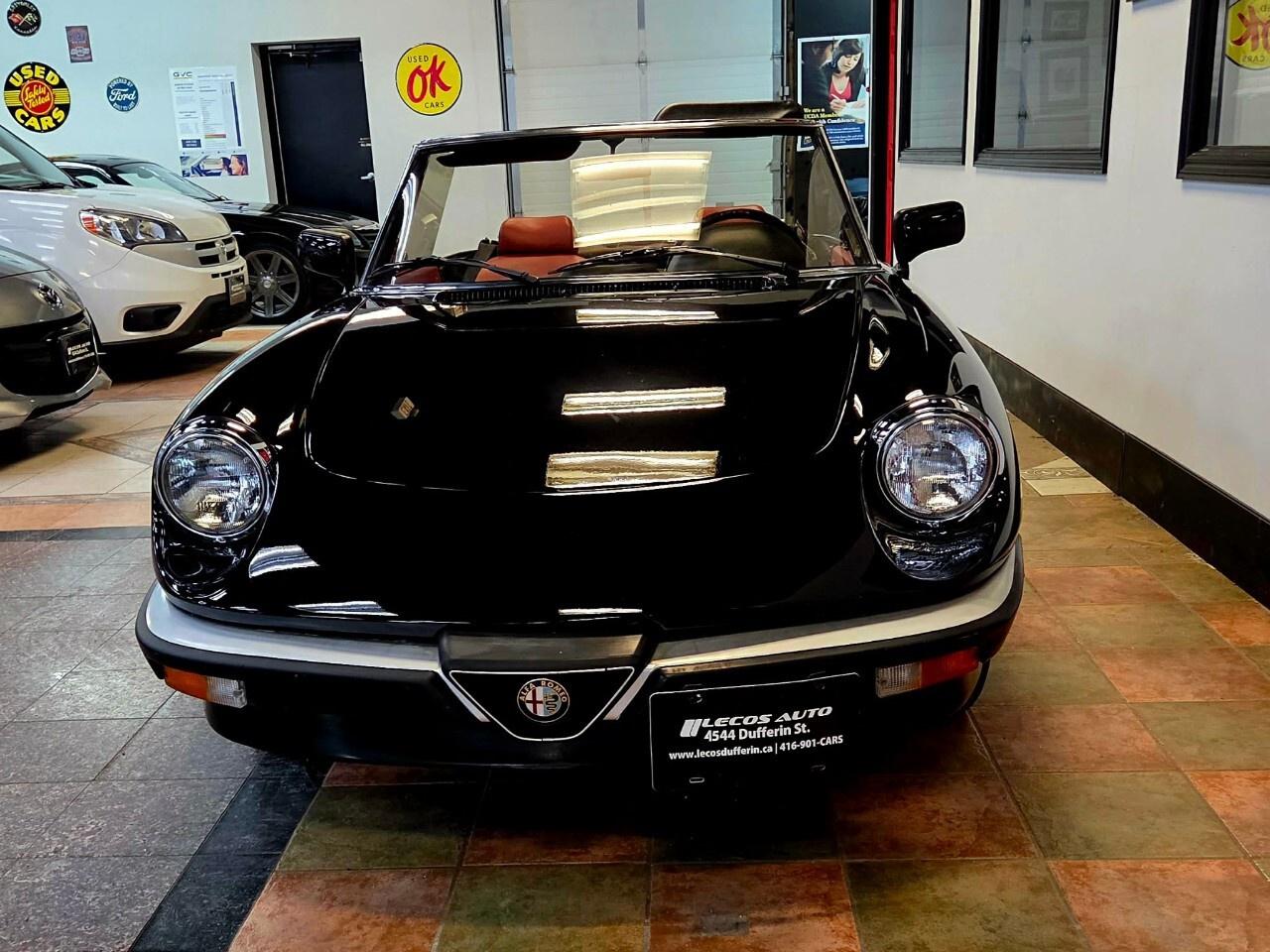 1987 Alfa Romeo Spider Graduate Manual Transmission/Very Low KMs/Converti Photo