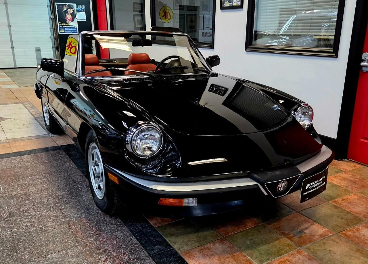 1987 Alfa Romeo Spider Graduate Manual Transmission/Very Low KMs/Converti Photo3