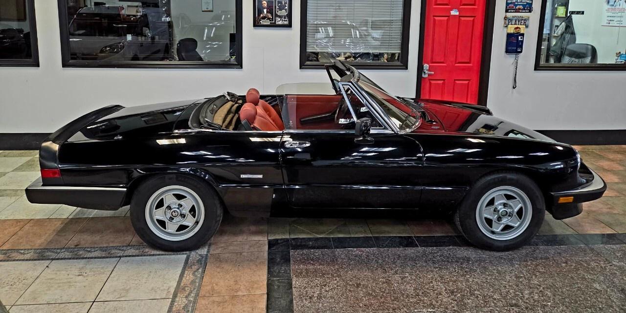 1987 Alfa Romeo Spider Graduate Manual Transmission/Very Low KMs/Converti Photo