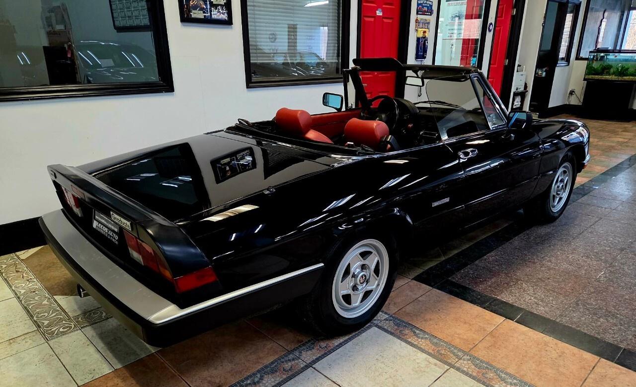 1987 Alfa Romeo Spider Graduate Manual Transmission/Very Low KMs/Converti Photo