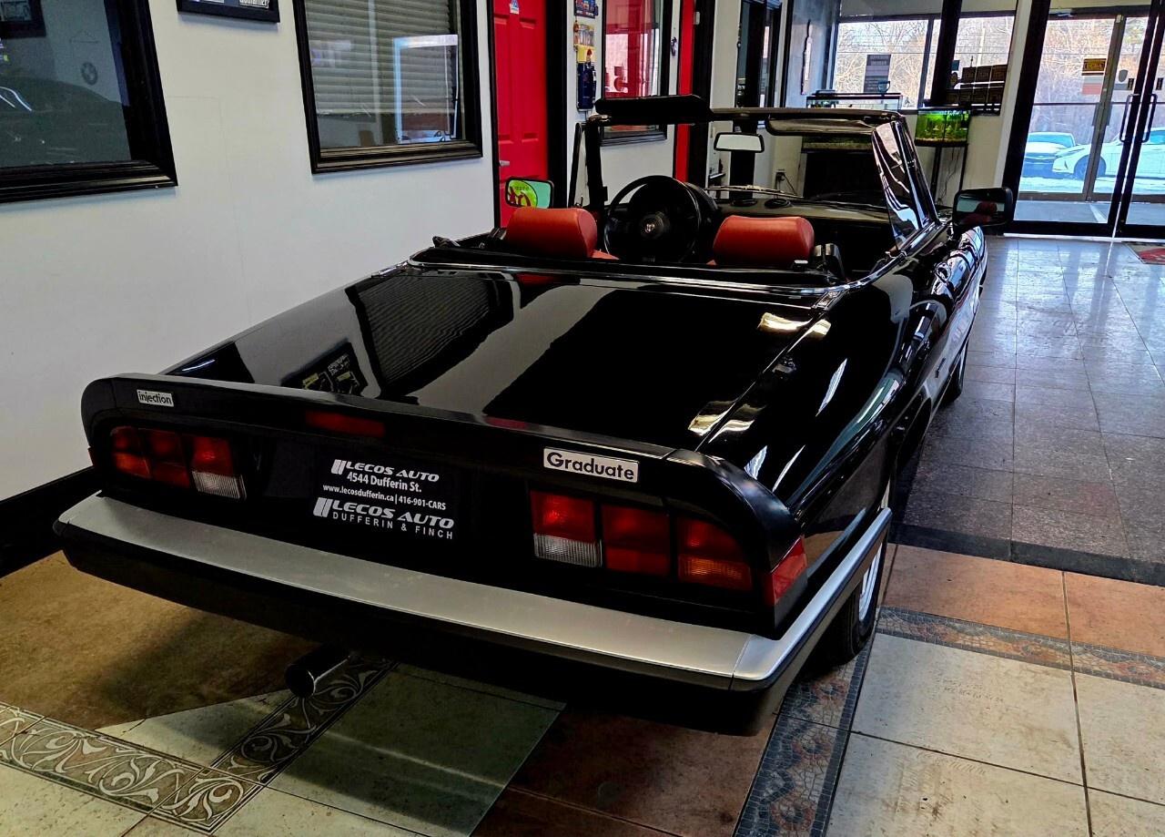 1987 Alfa Romeo Spider Graduate Manual Transmission/Very Low KMs/Converti Photo