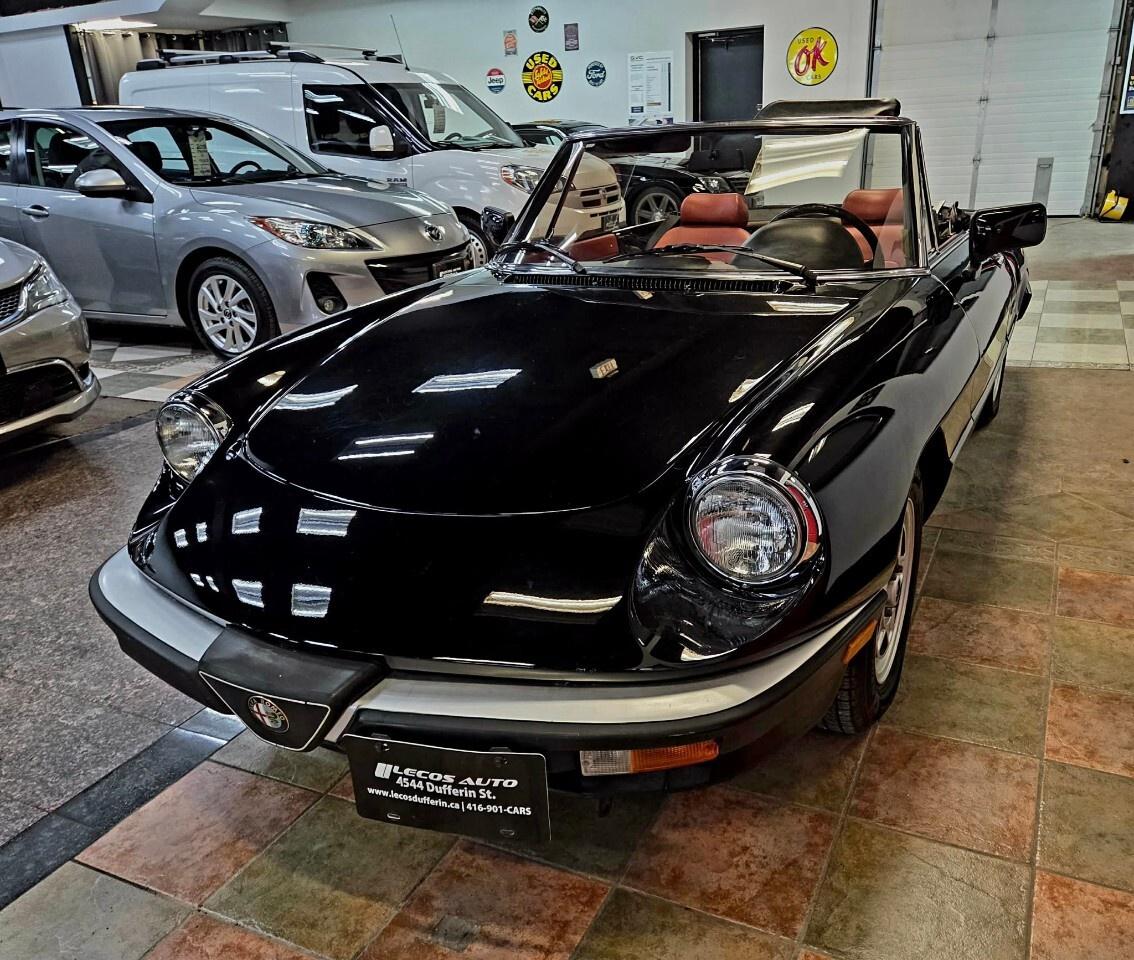 1987 Alfa Romeo Spider Graduate Manual Transmission/Very Low KMs/Converti Photo