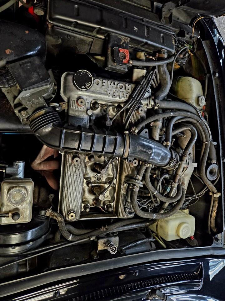 1987 Alfa Romeo Spider Graduate Manual Transmission/Very Low KMs/Converti Photo