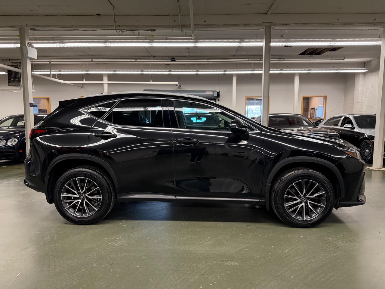 2023 Lexus NX 250 Base 4dr All-Wheel Drive Photo