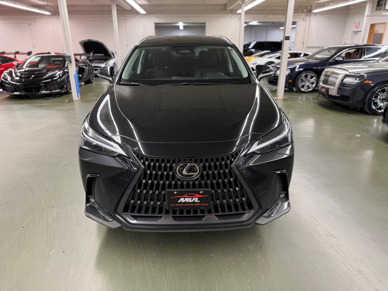 2023 Lexus NX 250 Base 4dr All-Wheel Drive Photo