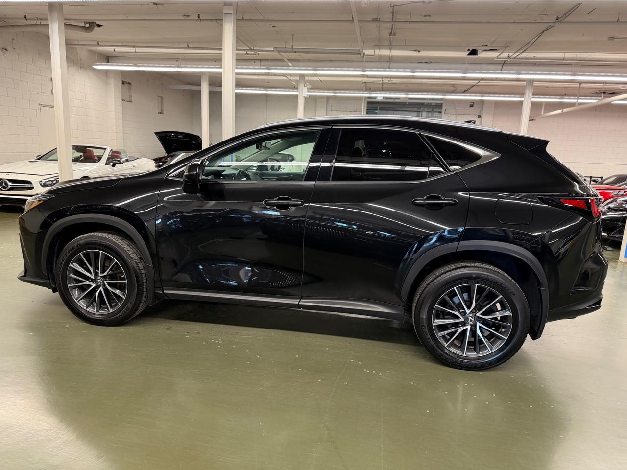 2023 Lexus NX 250 Base 4dr All-Wheel Drive Photo