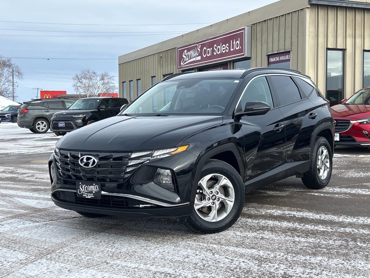 2024 Hyundai Tucson Preferred Photo0