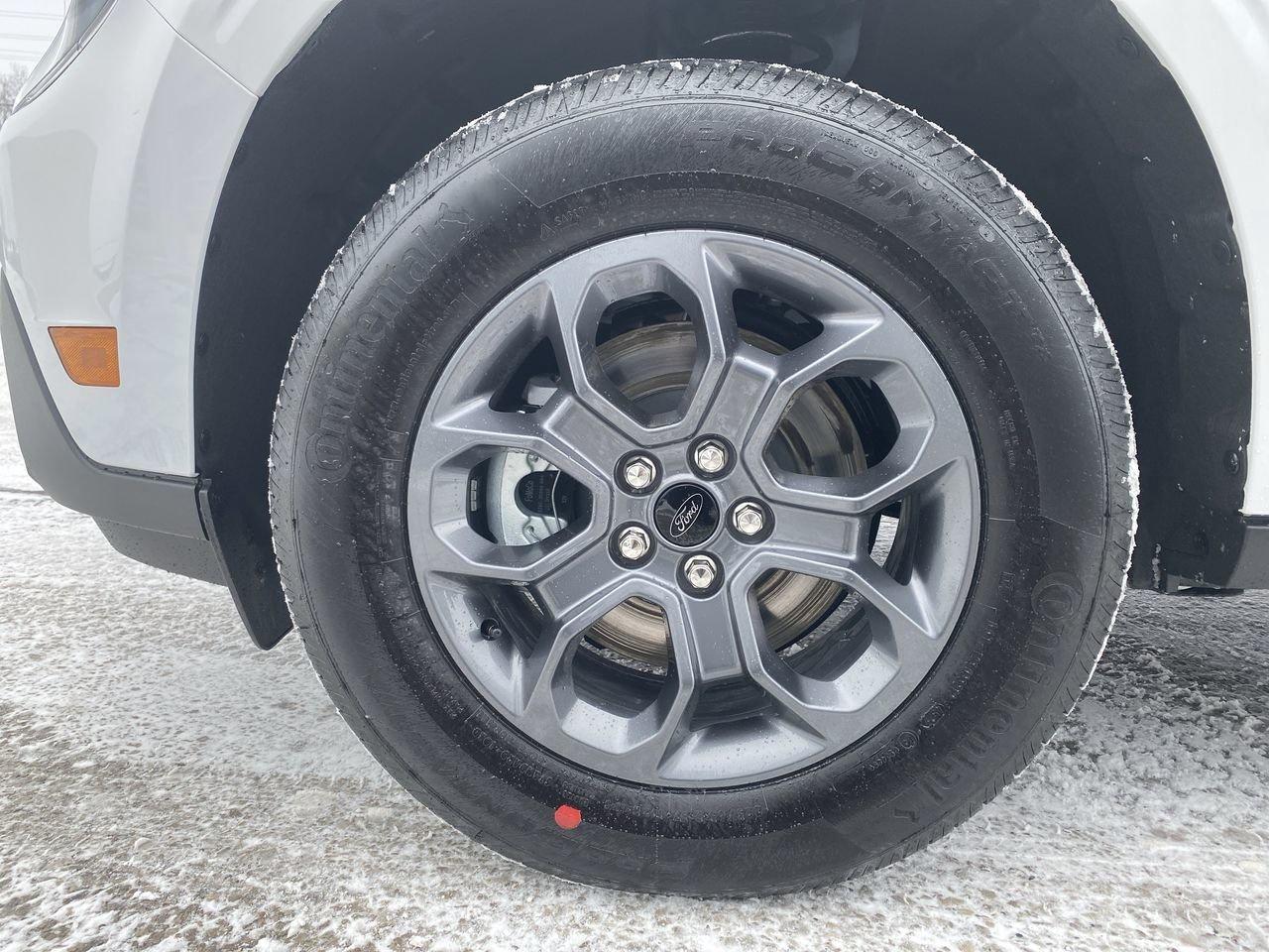 2026 Ford Maverick XLT Photo