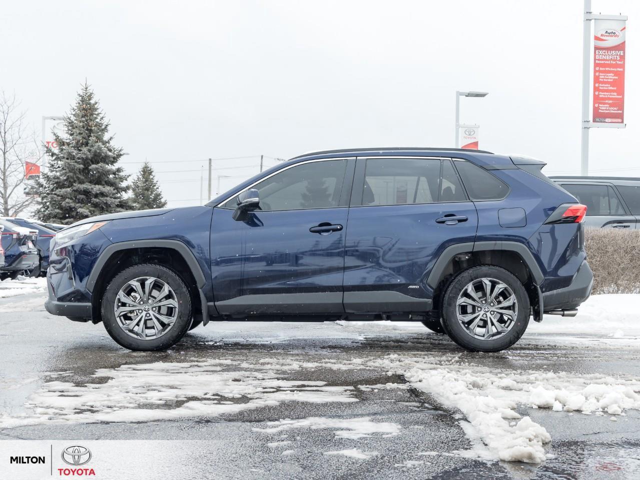 2025 Toyota RAV4 Hybrid XLE PREMIUM AWD LEATHER SEATING SUNROOF CARPLAY TC Photo