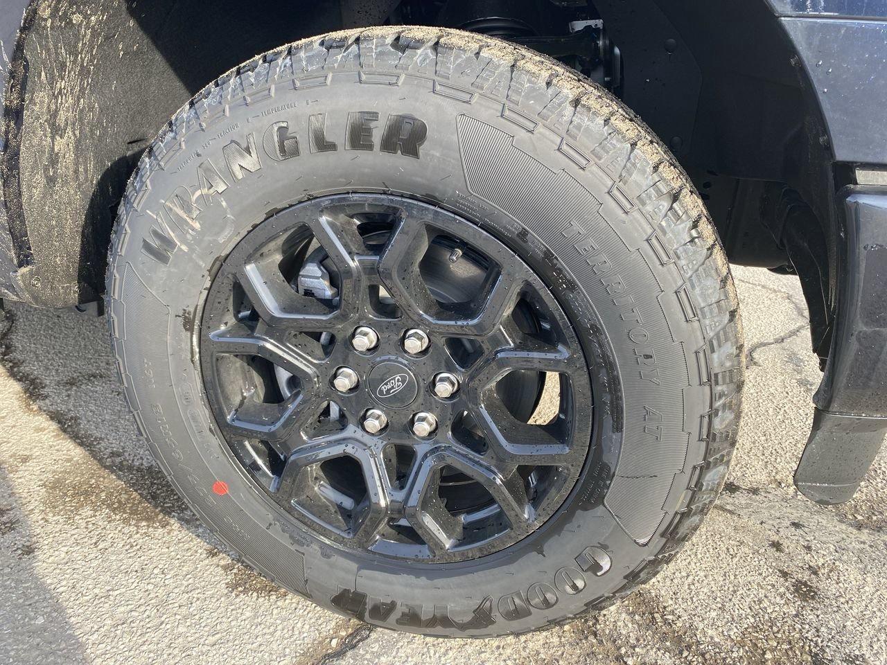 2026 Ford F-150 XLT Photo