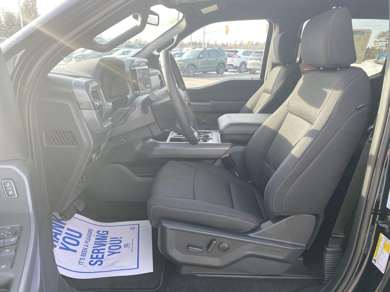 2026 Ford F-150 XLT Photo