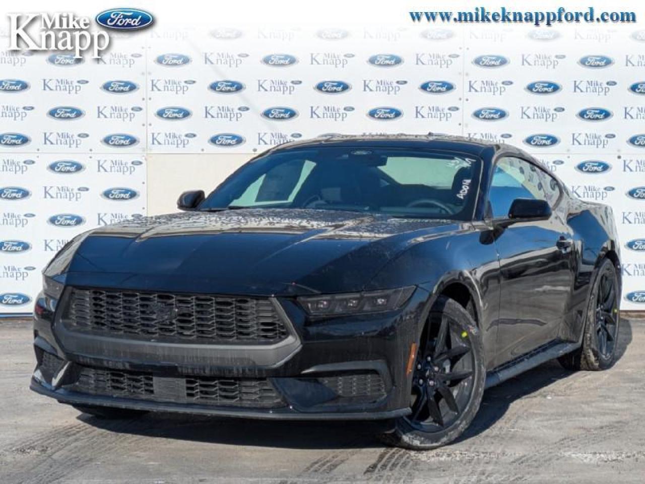 2026 Ford Mustang EcoBoost Photo