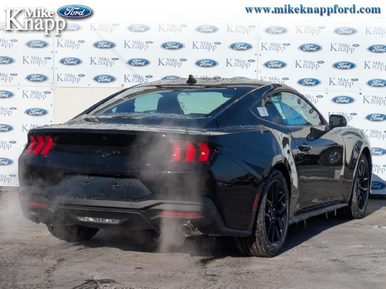 2026 Ford Mustang EcoBoost Photo