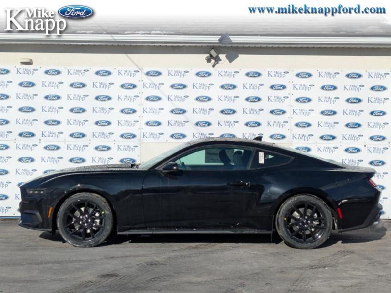 2026 Ford Mustang EcoBoost Photo