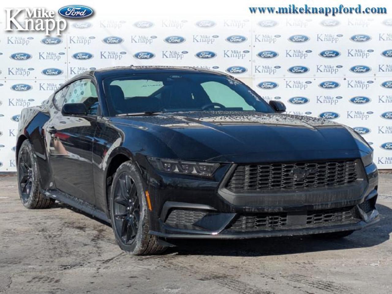 2026 Ford Mustang EcoBoost Photo