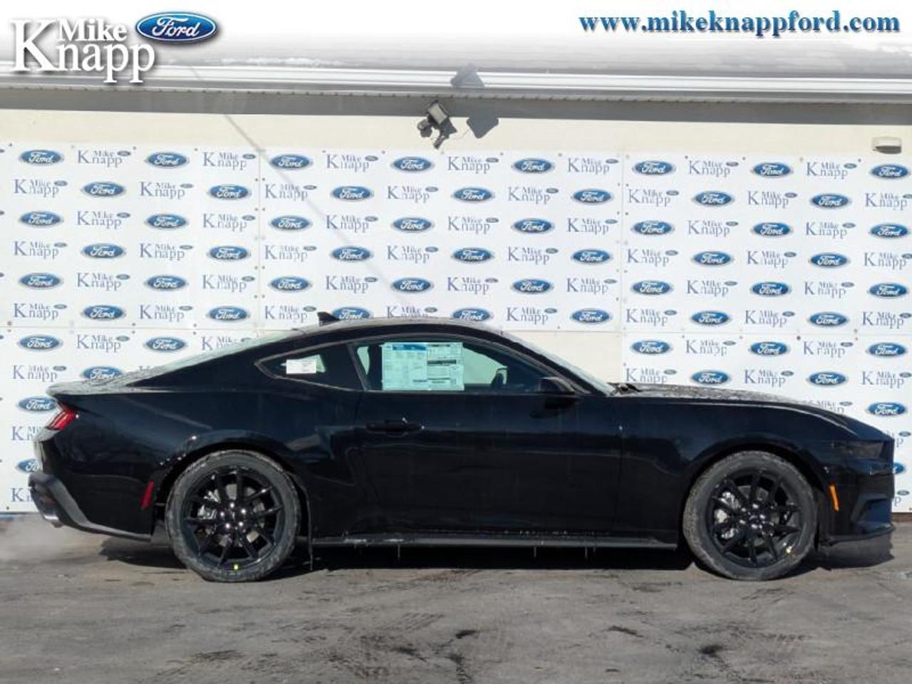 2026 Ford Mustang EcoBoost Photo