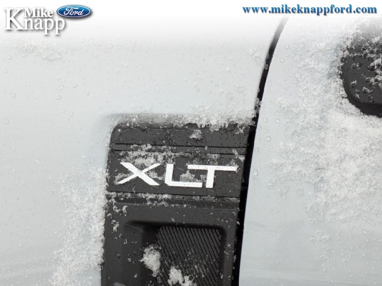 2026 Ford Maverick XLT Photo