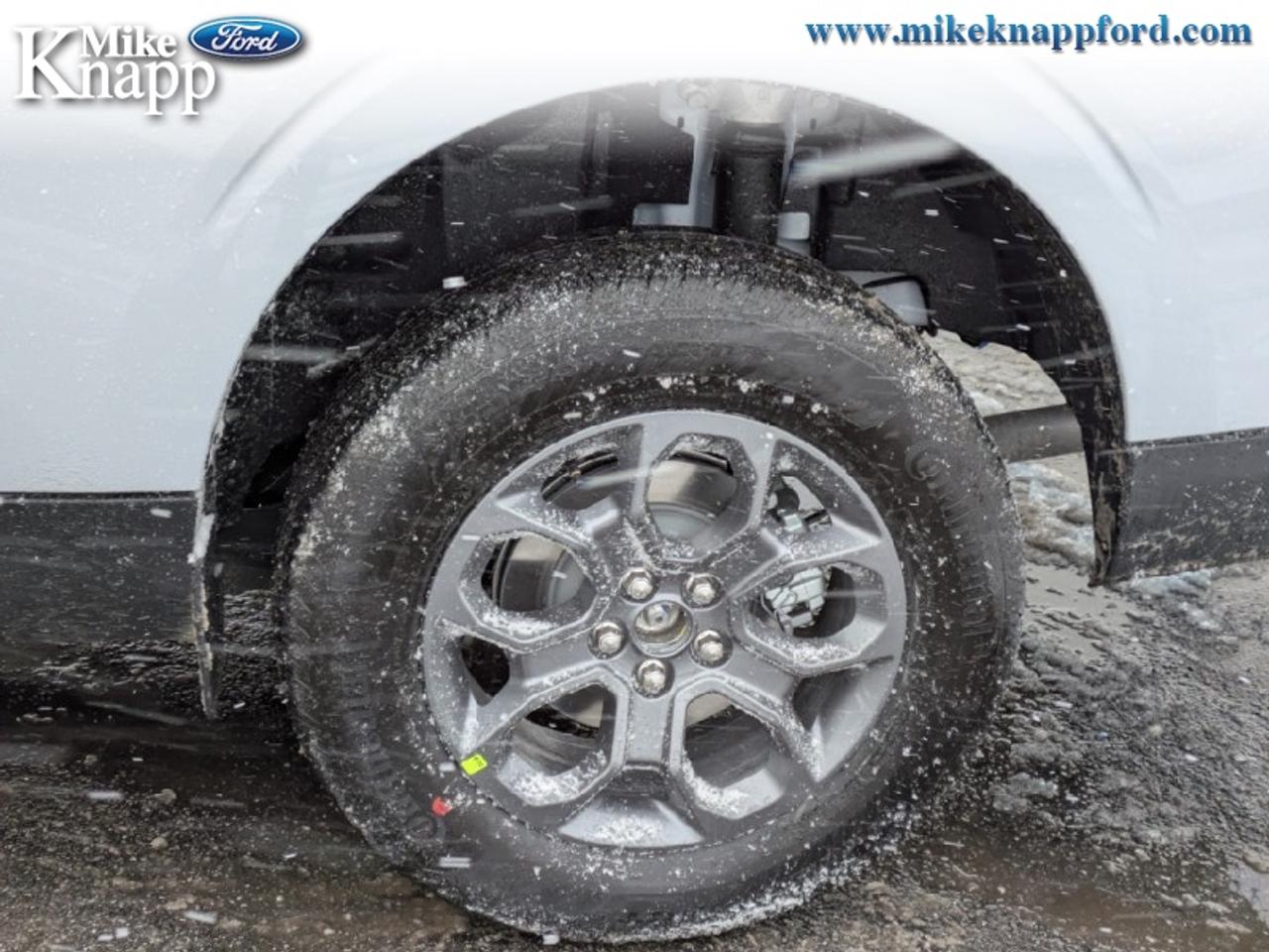 2026 Ford Maverick XLT Photo