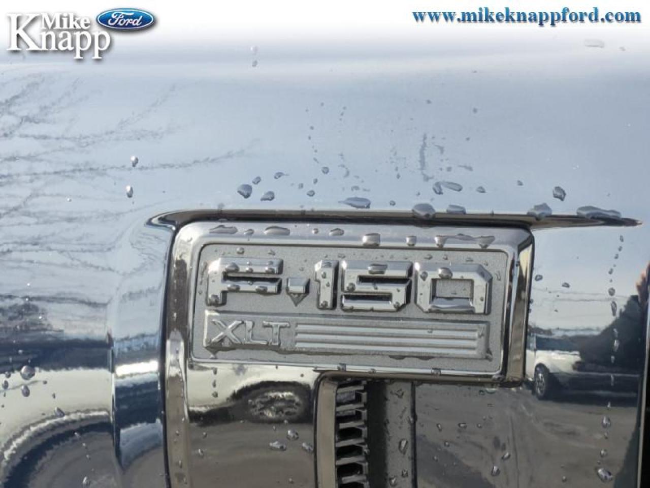 2026 Ford F-150 XLT Photo