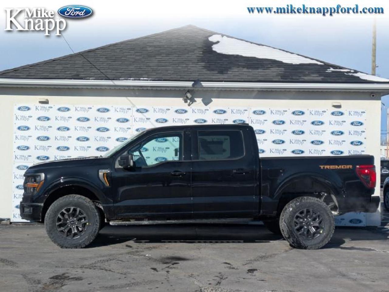 2026 Ford F-150 Tremor Photo