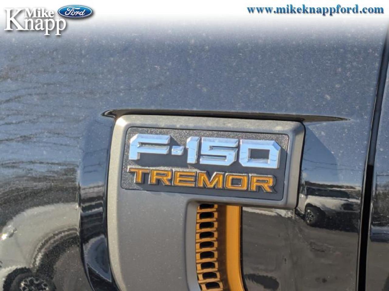2026 Ford F-150 Tremor Photo