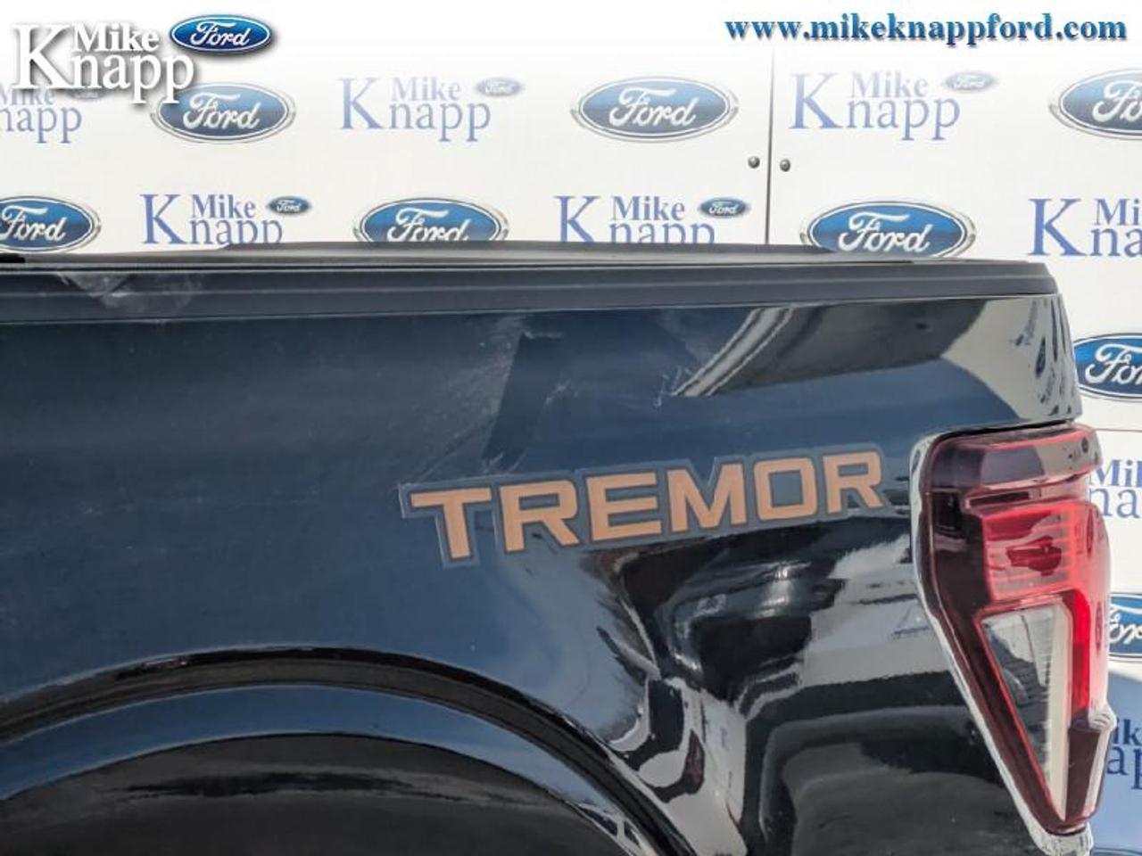 2026 Ford F-150 Tremor Photo