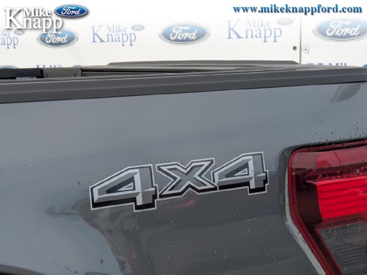 2026 Ford F-150 XLT Photo