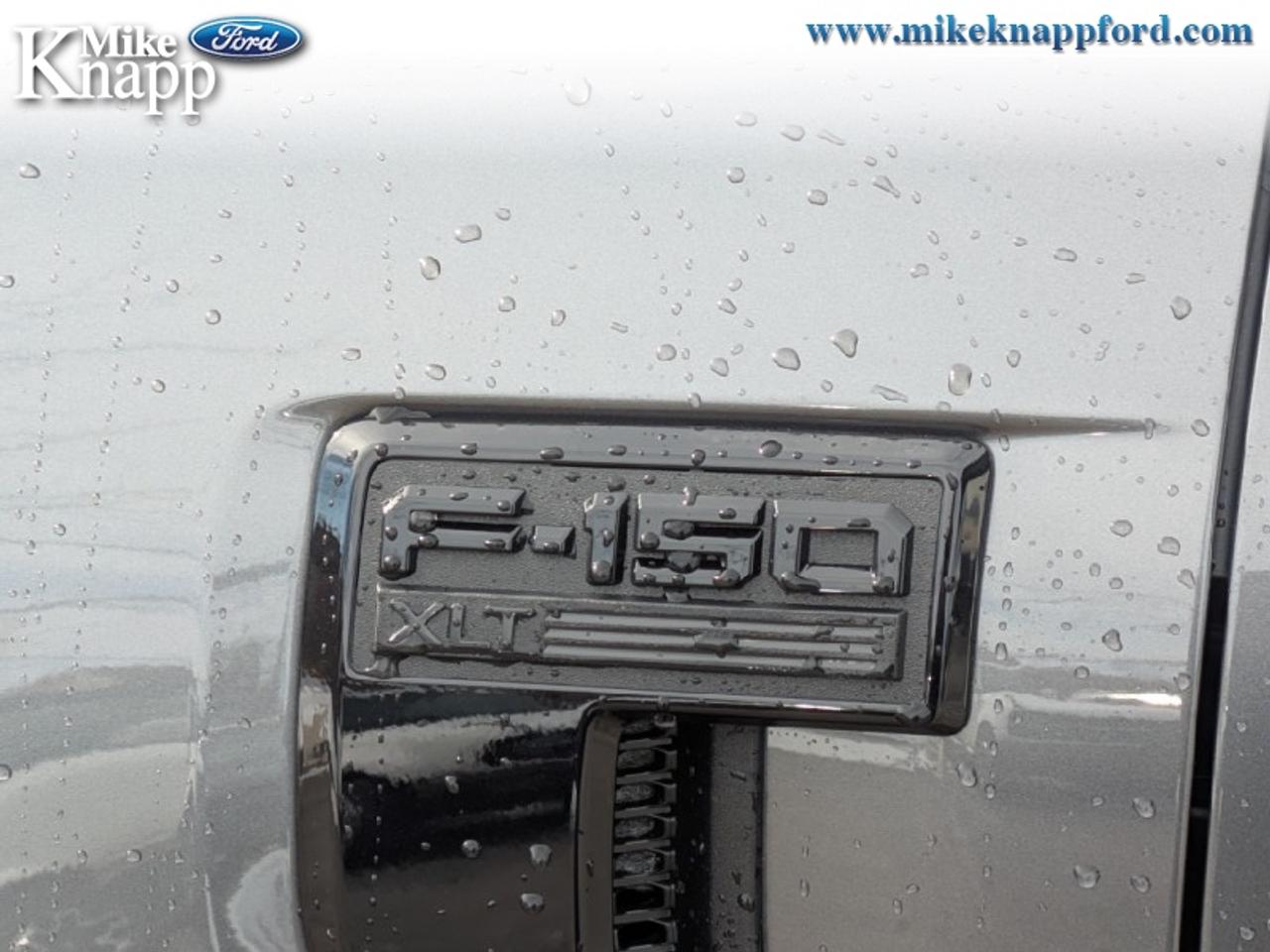 2026 Ford F-150 XLT Photo