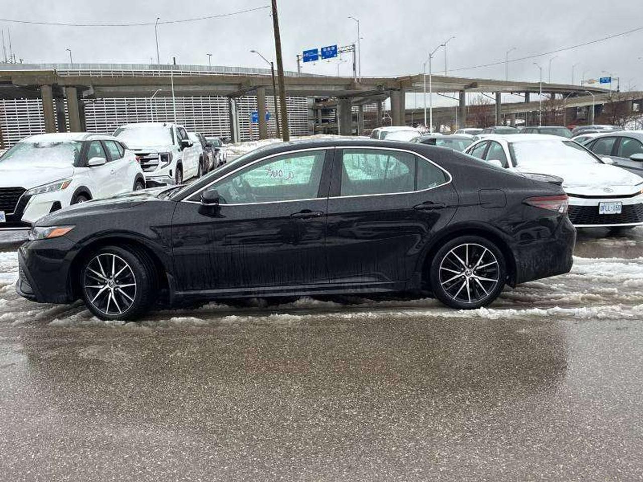 2024 Toyota Camry SE Photo