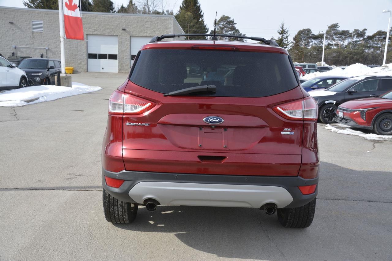 2014 Ford Escape  Photo