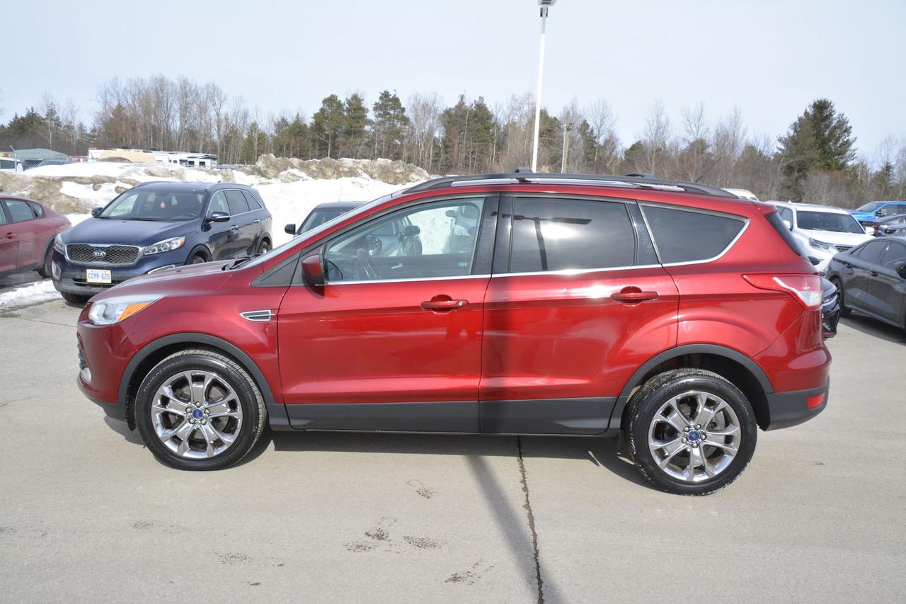 2014 Ford Escape  Photo