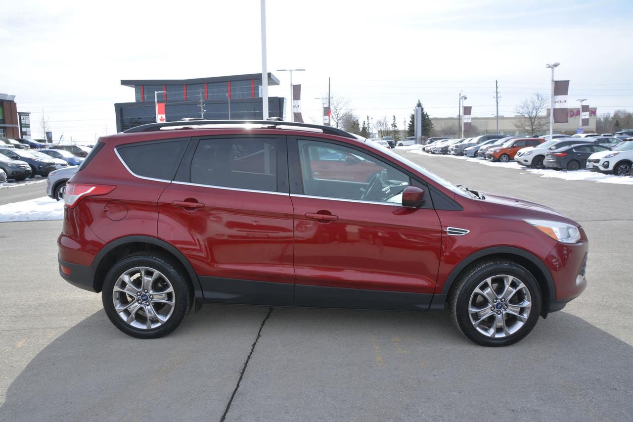 2014 Ford Escape  Photo
