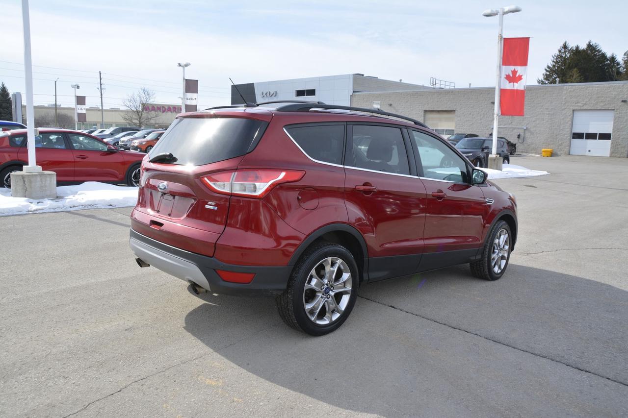 2014 Ford Escape  Photo