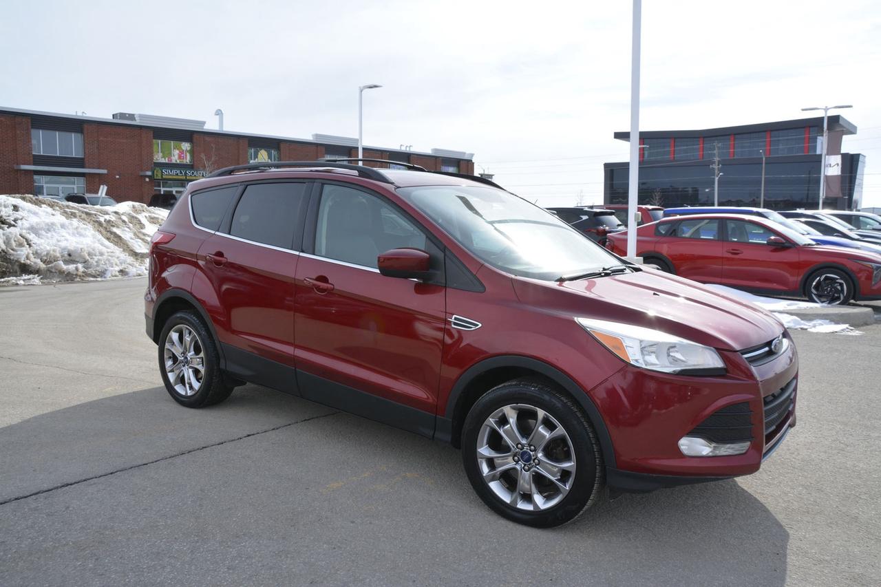 2014 Ford Escape  Photo