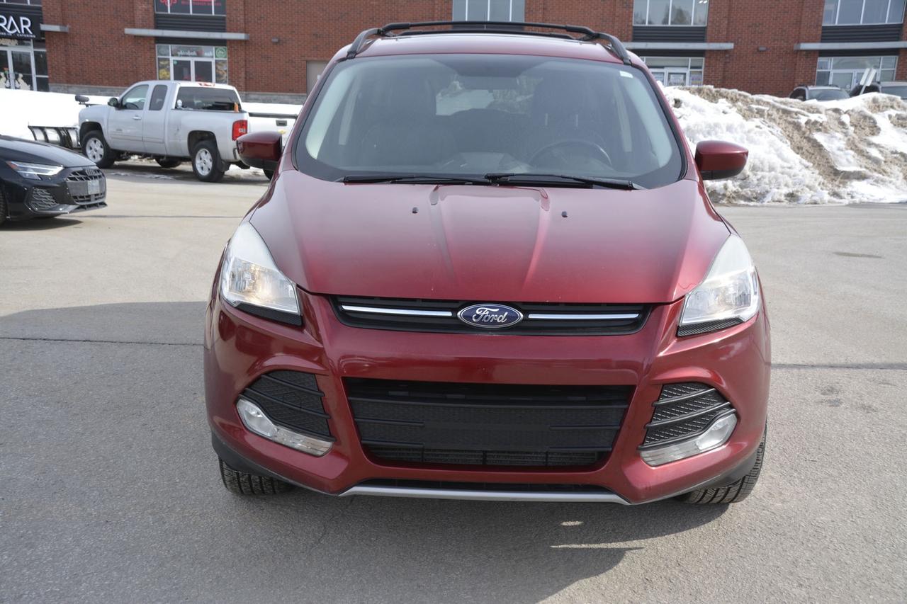 2014 Ford Escape  Photo